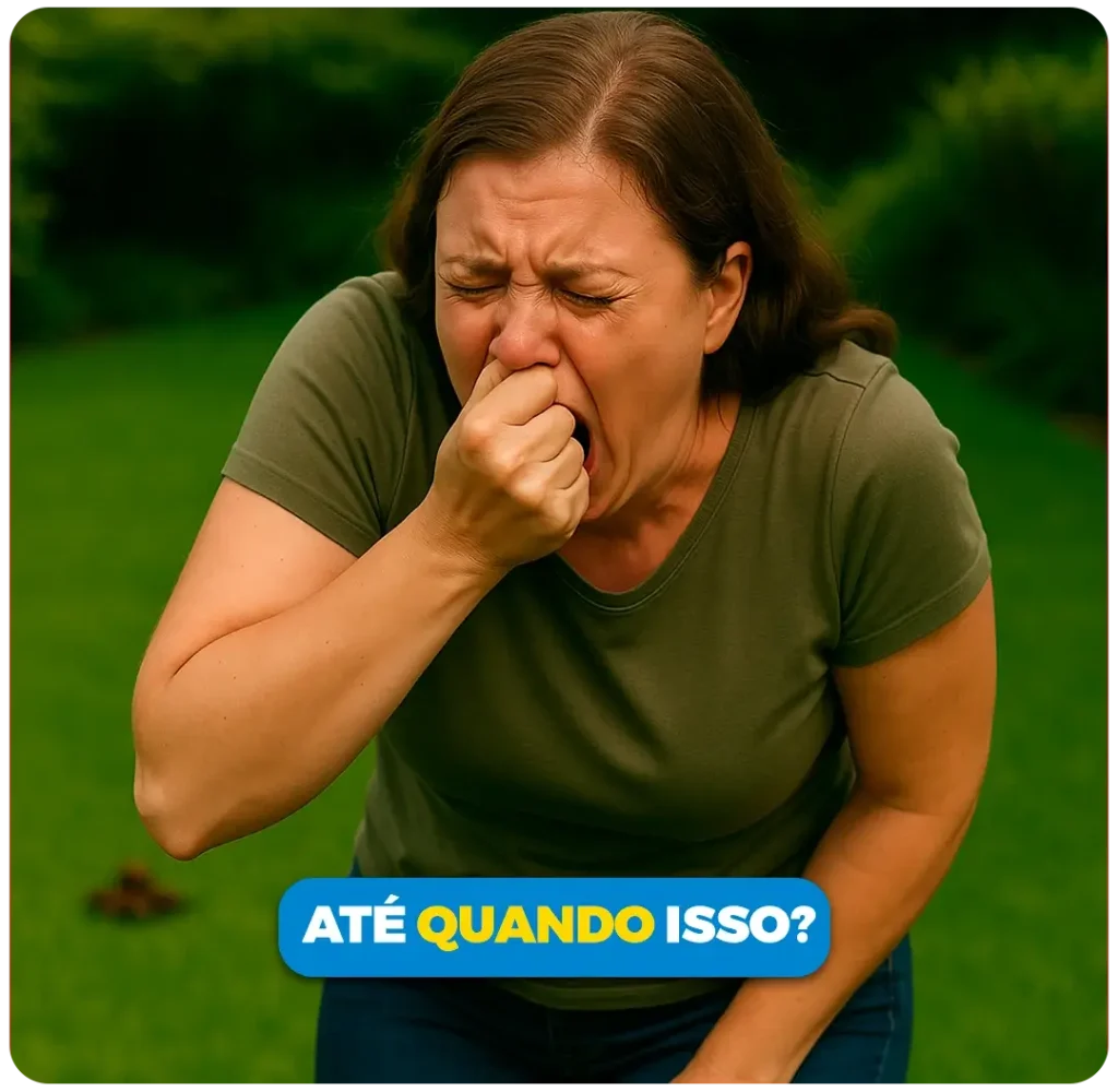 etapa 3